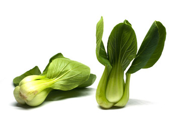 小油菜