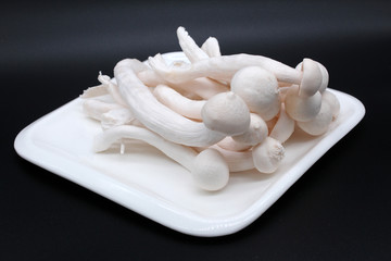 海鮮菇