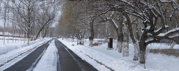 公園
