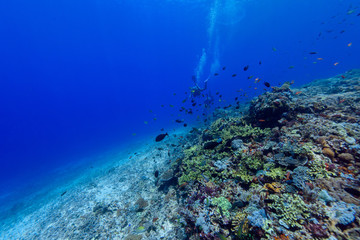 海底世界