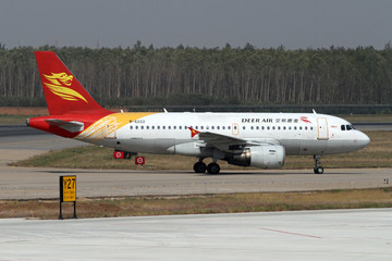 金鹿航空公司飛機