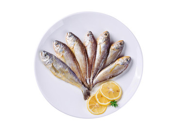 舟山黃魚