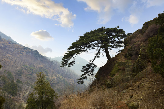 泰山風光