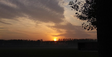 夕陽