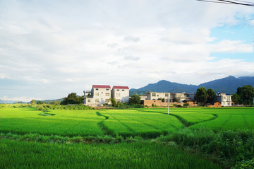 鄉(xiāng)村田園綠色田園江西鄉(xiāng)村