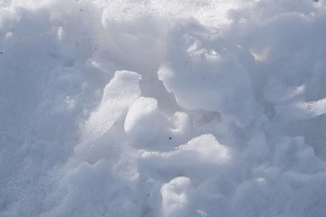 雪景