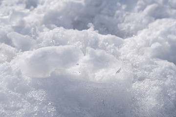 雪地