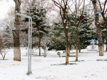 雪景