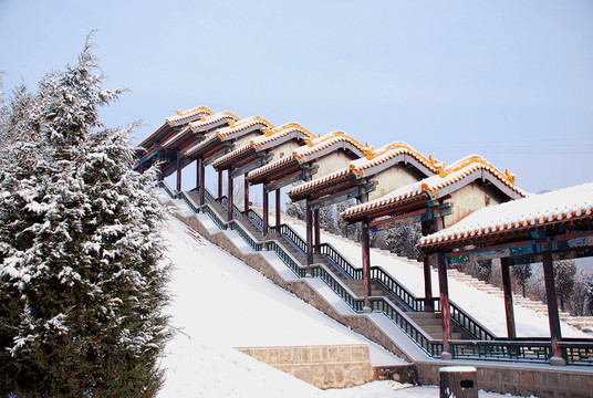 雪景
