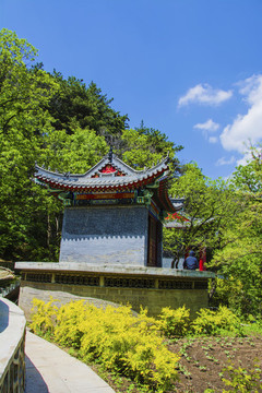千山木魚庵建筑與樹木藍天