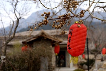 聞香谷風(fēng)景