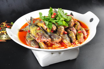 黃骨魚