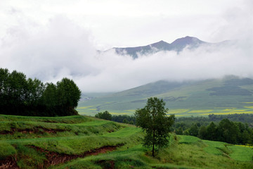 青藏高原風(fēng)光