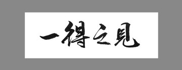 一得之見
