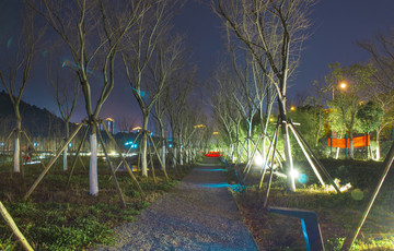 夜空下的小路