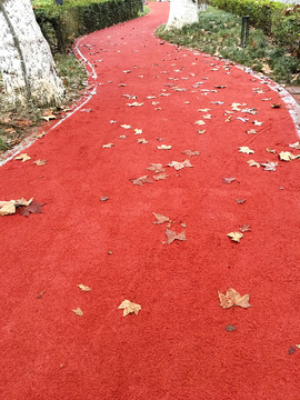 鋪滿落葉的跑道