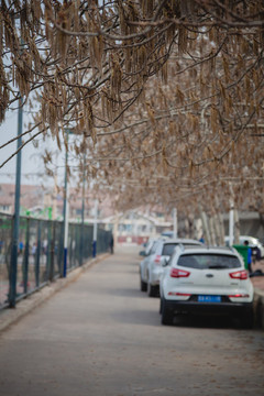 路