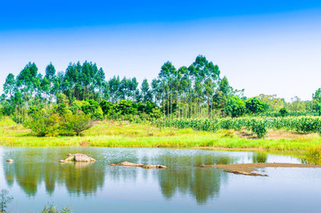 山水風(fēng)光