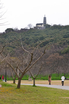 森林公園