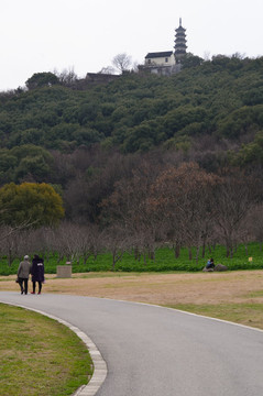 公園春色