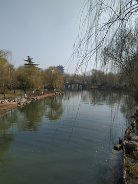 公園小景