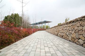 公園道路