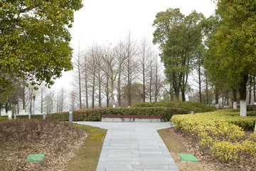 公園小路