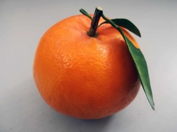 橘子
