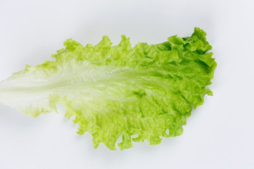 大葉生菜
