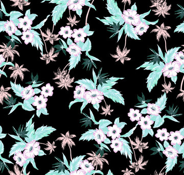 椰樹花