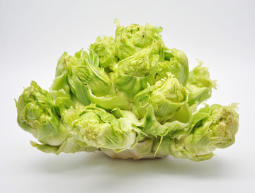 兒菜