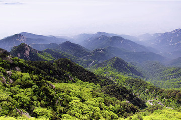 連綿青山