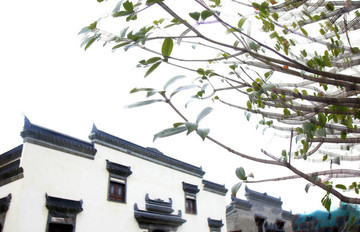 江蘇鹽城大洋灣生態(tài)運(yùn)動(dòng)公園畫(huà)