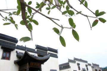 江蘇鹽城大洋灣生態(tài)運(yùn)動(dòng)公園畫(huà)