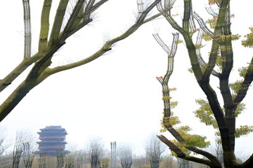 江蘇鹽城大洋灣生態(tài)運(yùn)動(dòng)公園畫(huà)