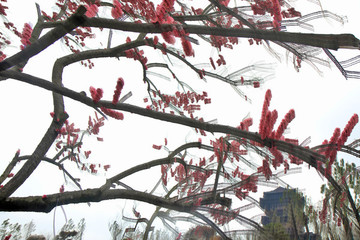 江蘇鹽城大洋灣生態(tài)運動公園畫
