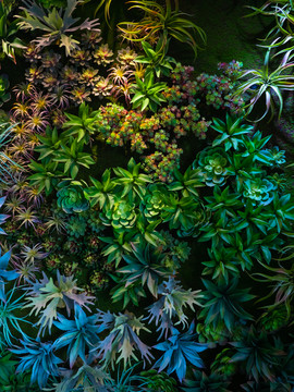 仿真植物墻素材