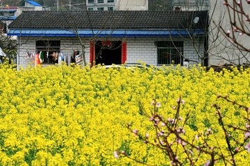春到農(nóng)家