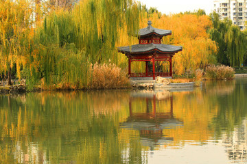 紫竹公園的秋色