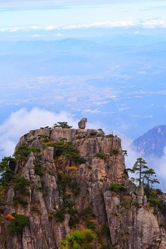 黃山猴子觀海