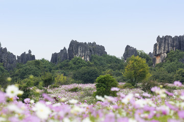 乃古石林風(fēng)景區(qū)
