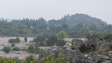 乃古石林風(fēng)景區(qū)