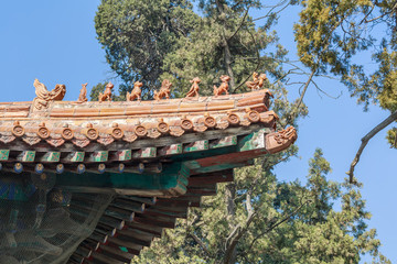 孔廟古建筑飛檐斗拱