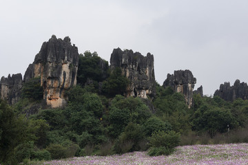 乃古石林風景區(qū)