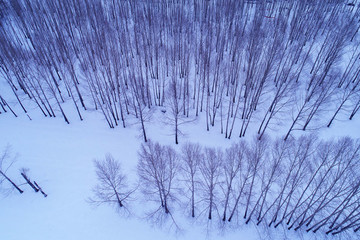 林海雪原樹林航拍