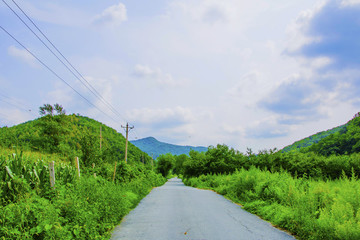 千山積翠山公路與山峰山林