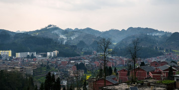 雞場坡早春