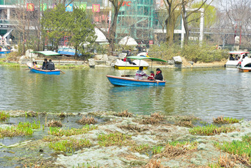 泉城公園景區(qū)