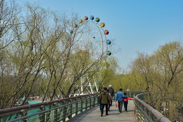 泉城公園景區(qū)