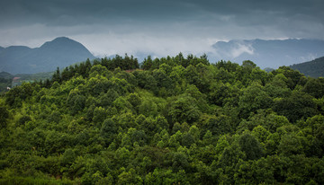 雨后山區(qū)